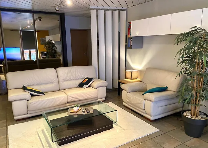 L'olivier 艾克斯莱班